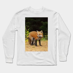 Red Fox - Algonquin Park Long Sleeve T-Shirt